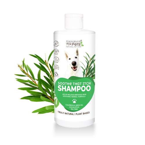 PANNATURAL PET SHAMPOO SOOTHE THAT ITCH  FOR DOGS PEPPERMINT CALENDULA 495 ML